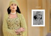 Reeya By Glossy Digital printed Linen Cotton Dress Material Wholesale Shop In Surat
